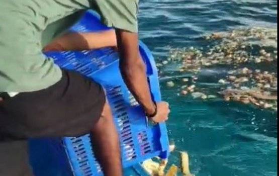Resorts allowed to dump waste into the sea till end of the year