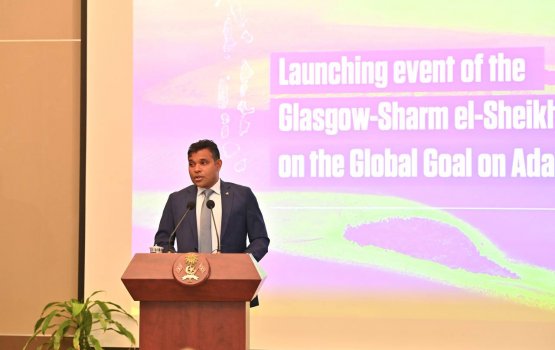 VP warns of inactivity in the fight against climate change