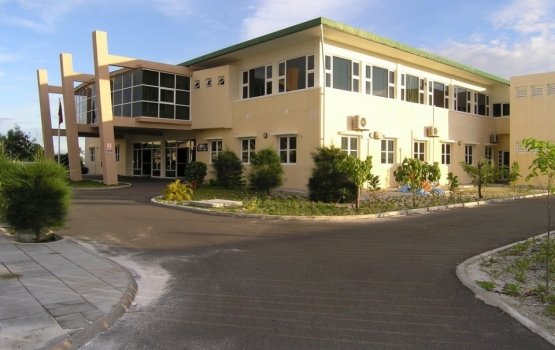 Man who tried to cut off own genitals dies