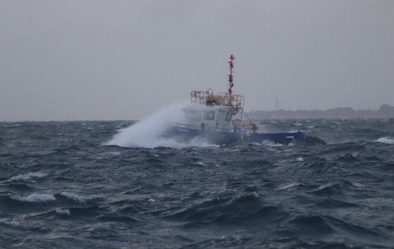 Weather Forecast: Rain & thunderstorms predicted for next 3 days