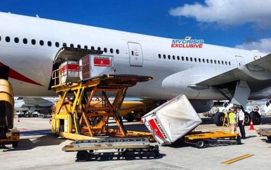 MACL staff injured in container mishap