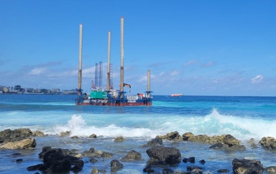 Authorities not doing enough to remove platform: NGOs