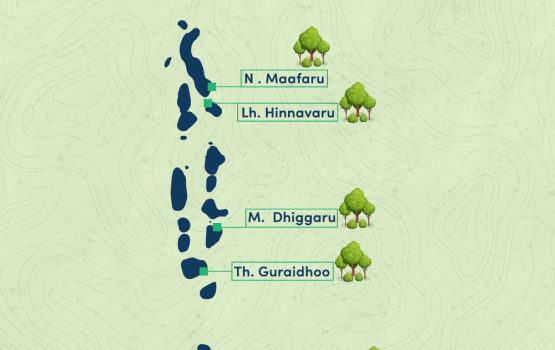 BML selects 5 islands for its Fehi project