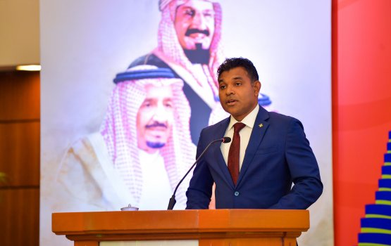 SA is exceptional in achieving developmental goals: VP