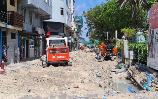 Ameenee magu tree removal: Speaker to file case tomorrow