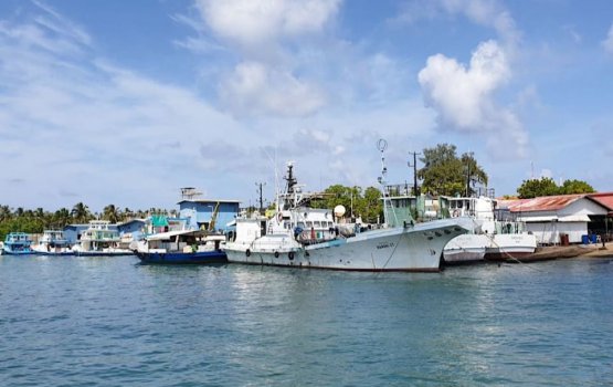 Koodoo fall victim dies from injuries