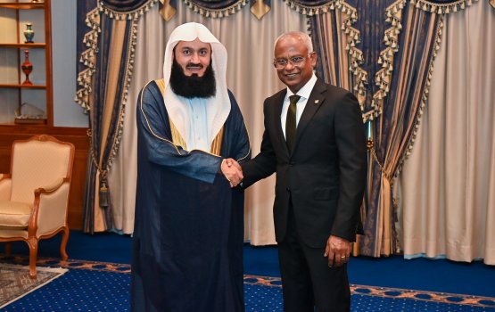 President meets Mufti Menk, praises the beloved Scholar 