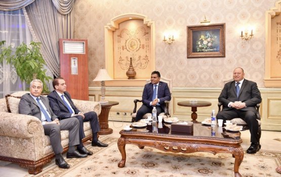 VP Faisal arrives in Egypt for COP27