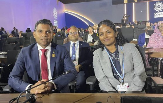 VP attends the opening ceremony of COP27