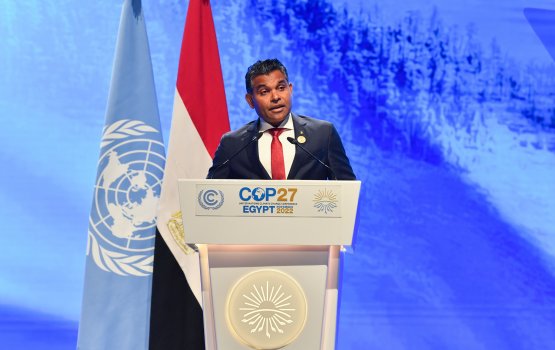 VP calls for global solidarity in the face of climate change