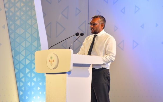 Loans are necessary to carry out projects: Fayyaz