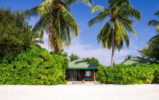 Man dies in tree felling incident in a southern resort