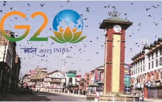 G20 igniting socio-economic growth in Kashmir