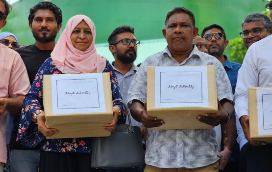 The Democrats applies for registration at the EC