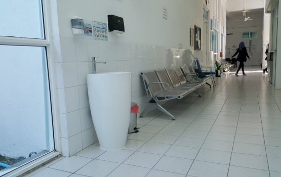 Motorist injured after colliding with a cat