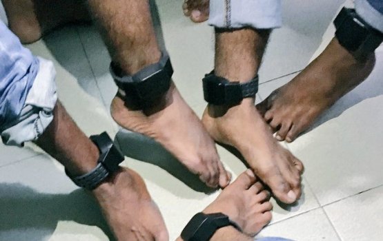 Police resumes fitting criminals with ankle tags