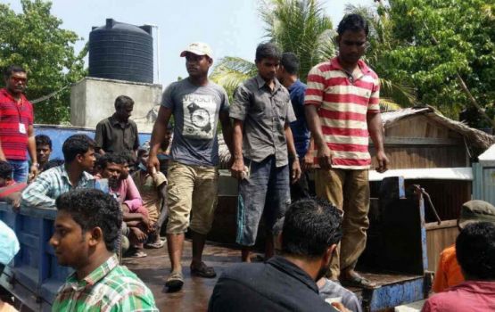 Gavaidhaa hilaafah ulhey 173 bidheyseenneh deport kurani 