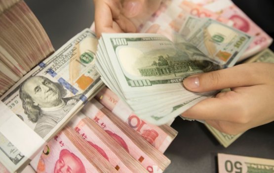 Govt aiming to increase VIA dollar release by 2026