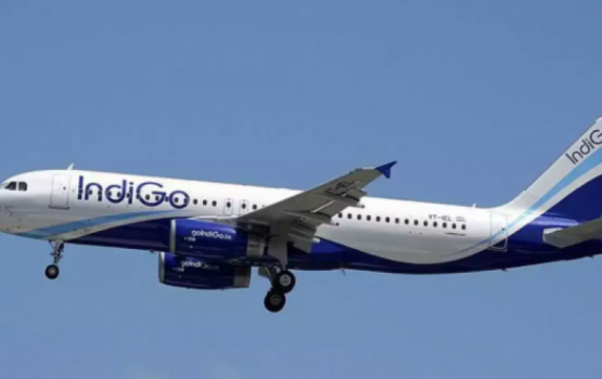 Local man arrested for harassing IndiGo cabin crew members 