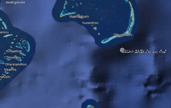 Plastic holhithakeh oyaadhaathee samaaluvaan MNDF in edhihje