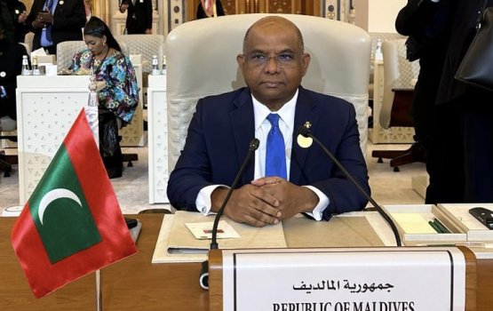 FM calls for urgent action to ease the suffering of Palestinians