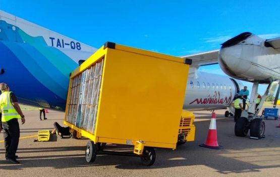 Fuvammulaku gai cargo vehicle eh Maldivian ge flight ehggai jehi meehakah aniyaa vejje