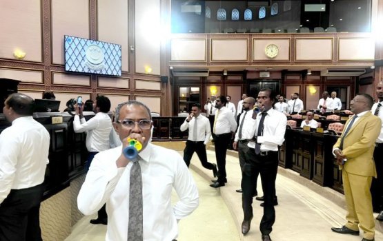 Nasheed's removal: Session halted amid chaos in the chamber