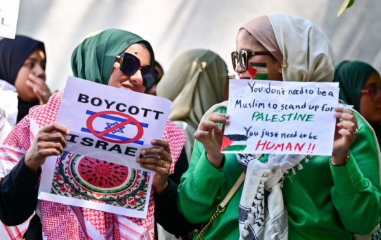 Ban on Israeli passport: Committee finally approves ban