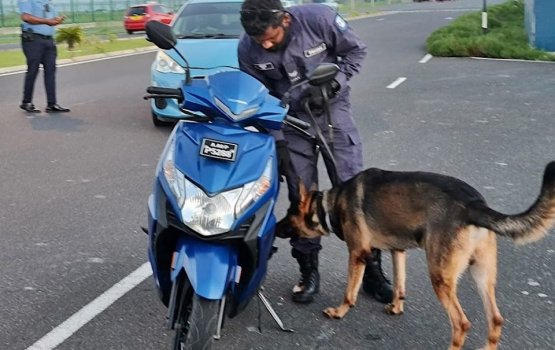 Police begins using dogs to monitor vehicles during traffic