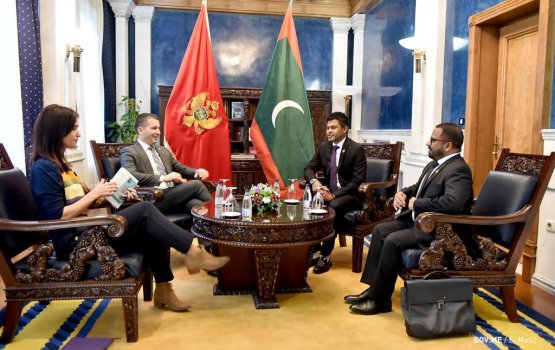 VP meets with First Deputy Prime Minister of Montenegro