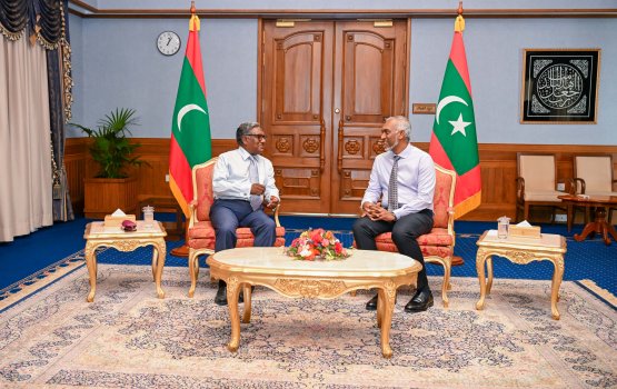 President Muizzu meets with ex-President Waheed