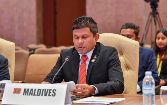 Developing countries must drive stronger climate action: VP