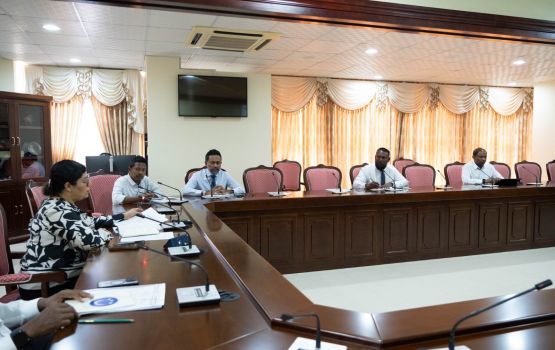 Jaah ge maru: Idhaaraathakaa suvaalukuran Majlis commitee in ninmaifi