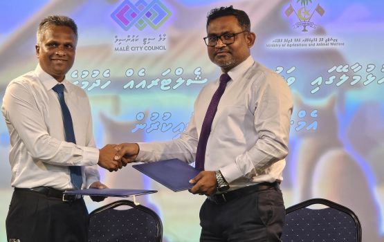 Hulhumale' gai vaguthee cat shelter eh city council aa havaalukohffi 