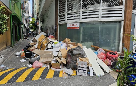 Democrats express concern over Male' City waste management