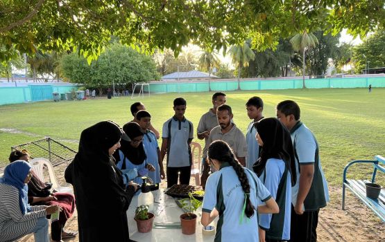 Grade 8 gai mihaaru kiyavaa dharivarun ge test dhe fiyavassakah bahaalaigen kuriyah gendhanee