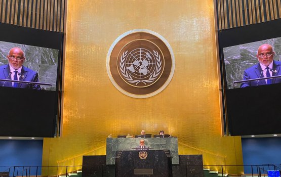 Palestinian UN Membership:Maldives calls on UNSC to abolish veto