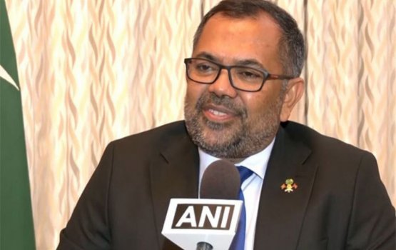 Proper action taken against those who degraded Indian PM: FM 