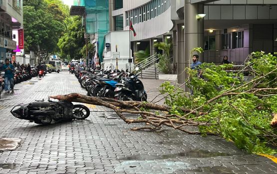 Vai gadhave Velaanaage kurimathee gai huri gaheh vetti gellun thakeh vehjje