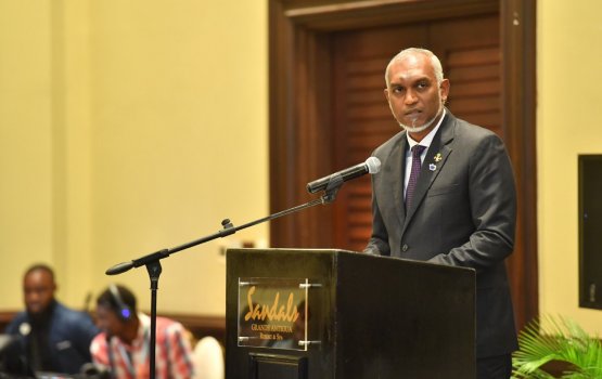 President presides over the SIDS4 conference