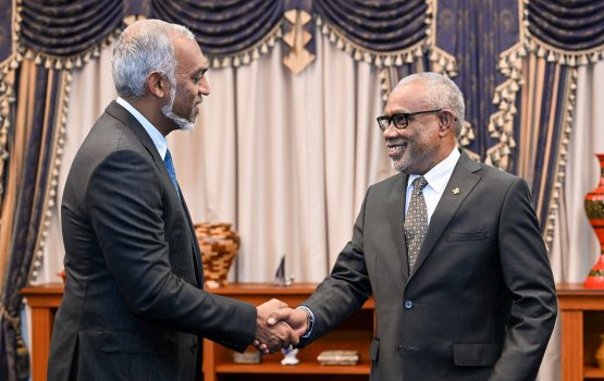President meets with the Speaker of the Parliament