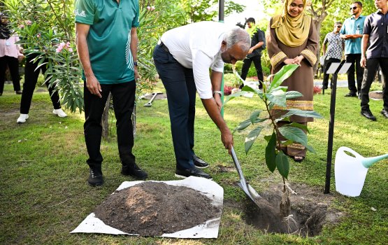 First Couple launches the 5 million trees planting program