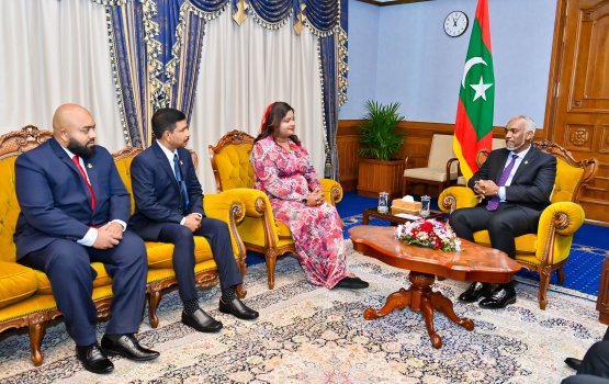 President appoints ambassadors to three countries