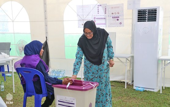 Plans to cut back on frequent by-elections cemented