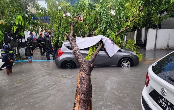 Gadha vaige sababun rehendhi hingumugai huri biya gaheh vetti gellun thakeh 