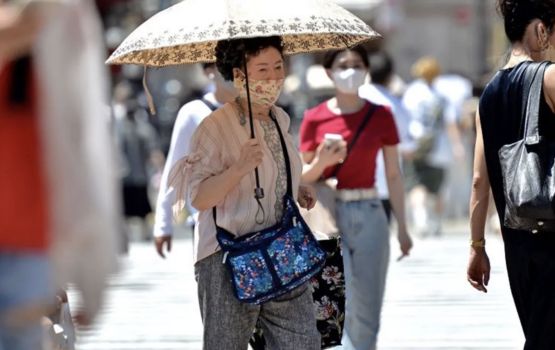 Alhaalaane meehaku nethi geygai ekani ove Japan gai 40,000 meehun maruvejje