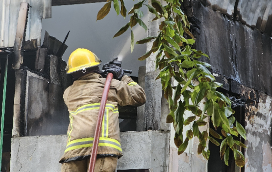 Sosun magu alifaanuge haadhisaa: Dhumuge asaru kuri dhe meehunnah faruvaa dhimunah fahu dhookollaifi