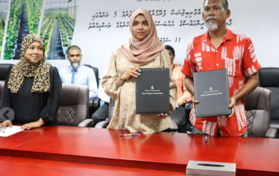 Uthuruge 5 rasheh gai green house gaaimu kurumah ehbas vumugai soi koffi