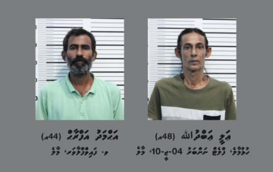 Hulhumale gai drugs viyafaari kuraa massalaehgai anhenakaai 3 firihenaku hayyaru koffi