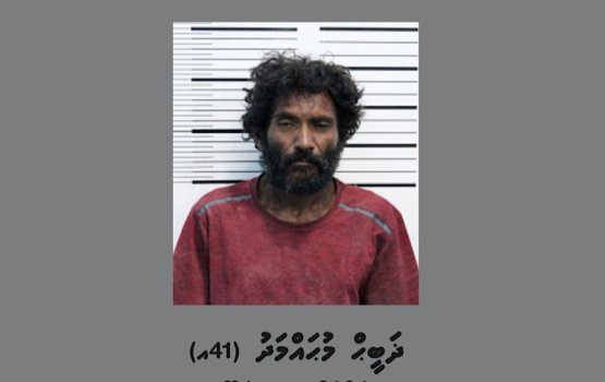 Local man arrested for stealing the bags of two tourists